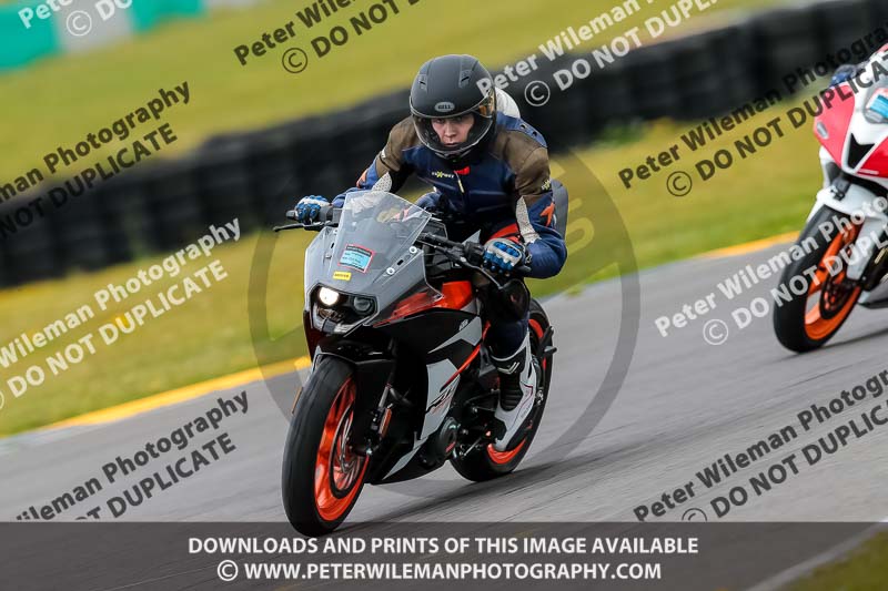 PJ Motorsport 2019;anglesey no limits trackday;anglesey photographs;anglesey trackday photographs;enduro digital images;event digital images;eventdigitalimages;no limits trackdays;peter wileman photography;racing digital images;trac mon;trackday digital images;trackday photos;ty croes